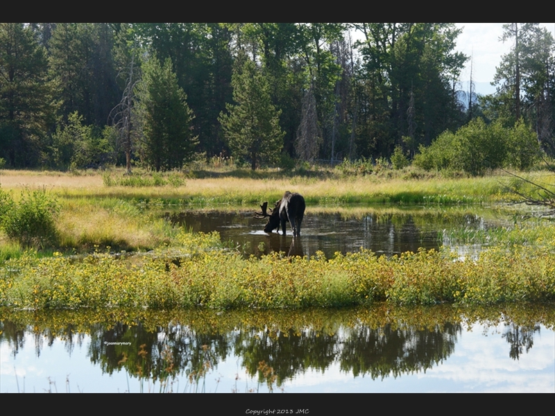 Sawmill Pond (2)