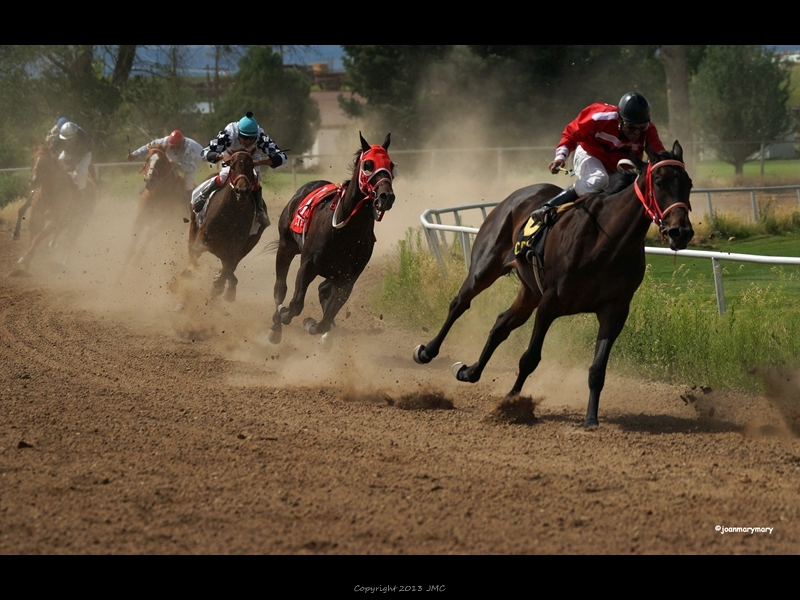 Beaver UT Riderless Horse (4)