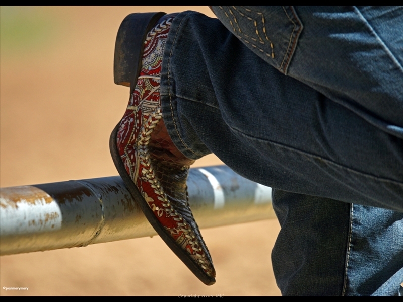 Boots Beaver UT- Horse Races (3)