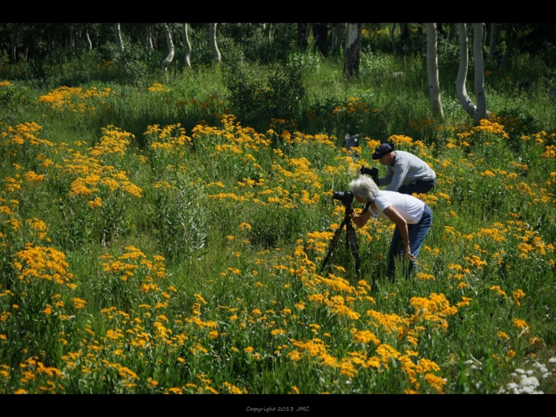 Mt. Nebo Scenic Byway (11)