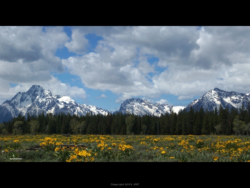 Pilgrim Creek Rd- spring