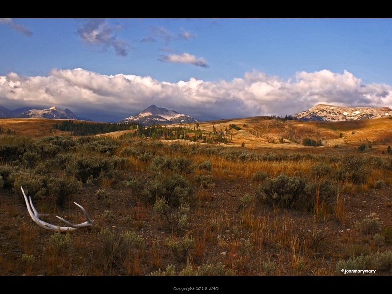 Yellowstone (3)