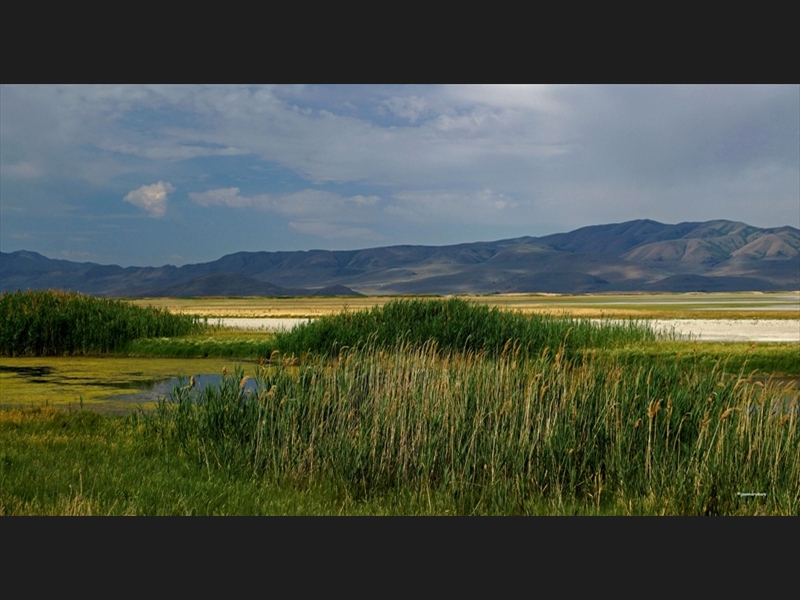 Bear Lake Wildlife Refuge- UT