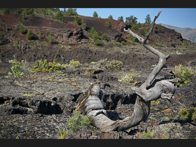 Craters of the moon