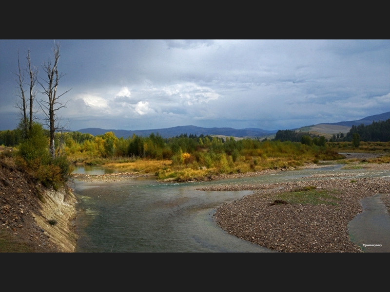 Gros Ventre Overlook