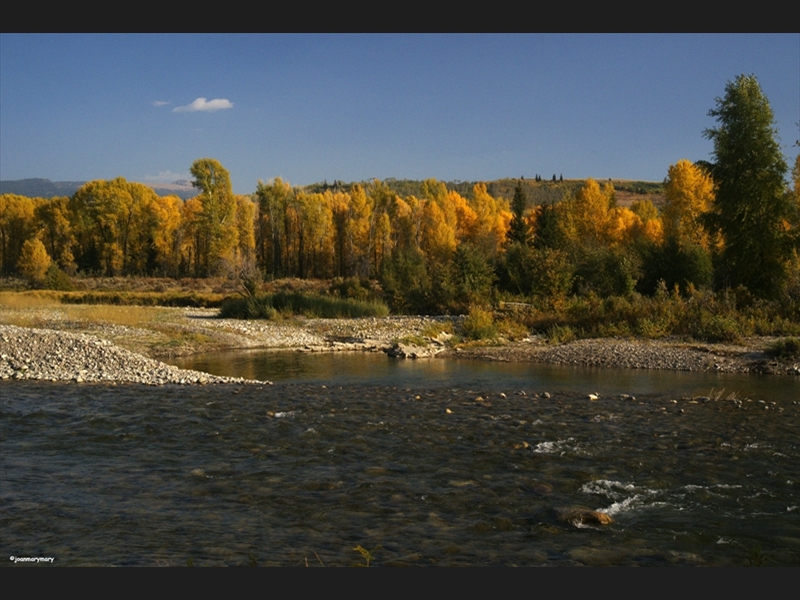 Gros Ventre River 2012