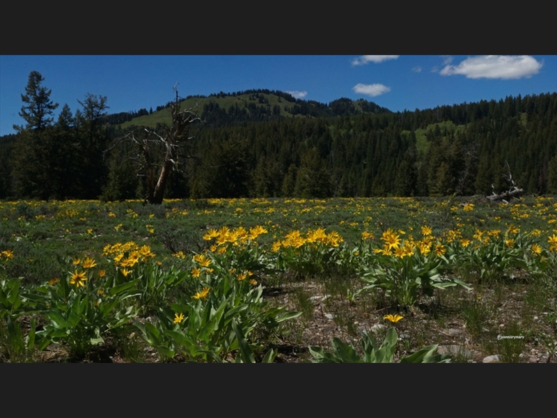 Hike to Heron Lake