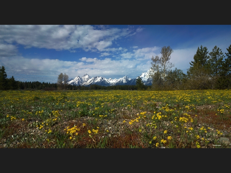 June- Pilgrim Creek Rd 