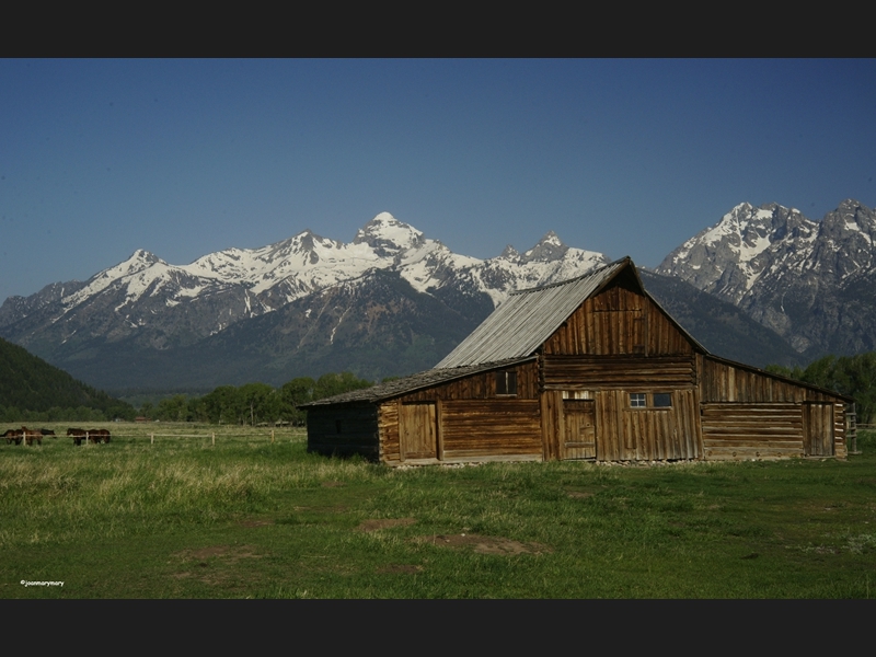 Moulton Barn (1)