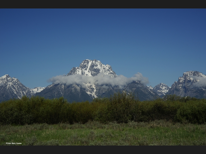 Mt. Moran