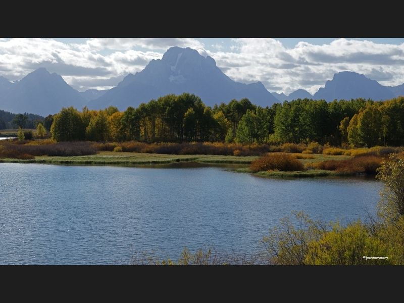 Mt. Moran Oxbow