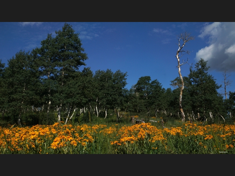 Mt. Nebo Scenic Byway (13)