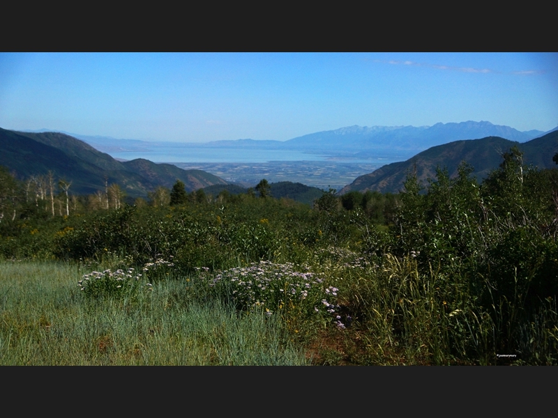 Mt. Nebo Scenic Byway (7)