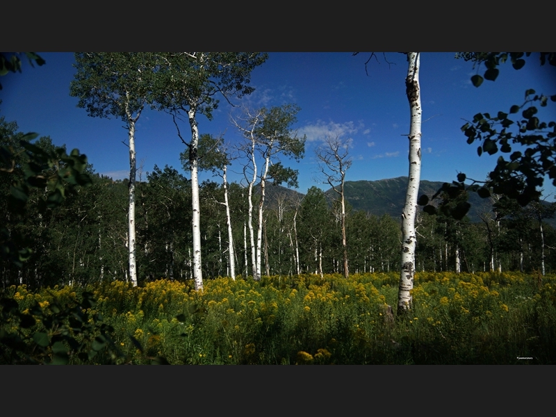 Mt. Nebo Scenic Byway (9)