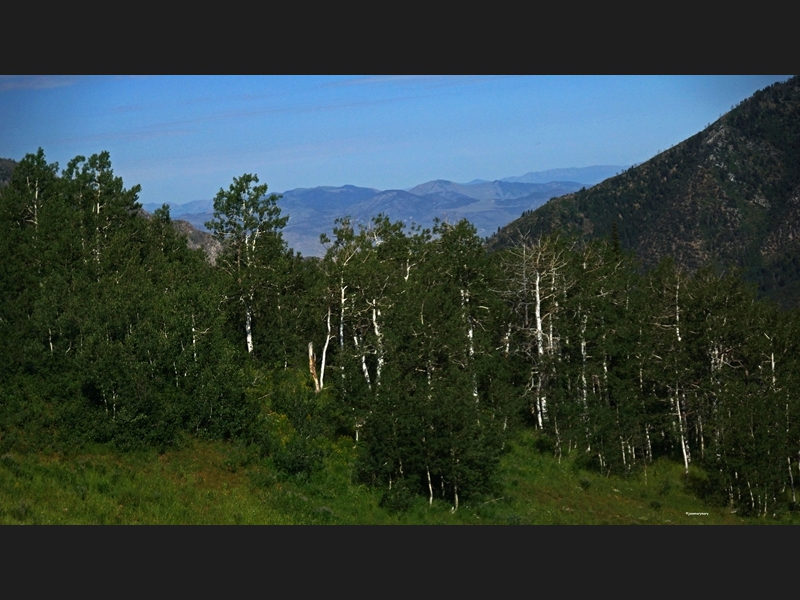 Mt Nebo Scenic Byway (3)