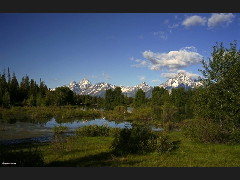 Pilgrim Creek Rd 2012 (3)