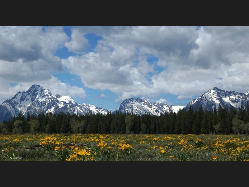 Pilgrim Creek Rd- spring