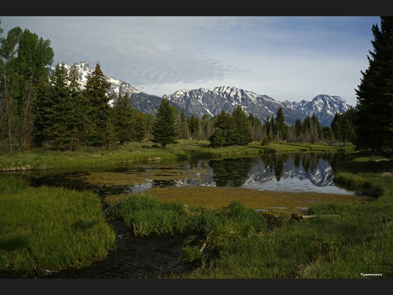 Schwabachers