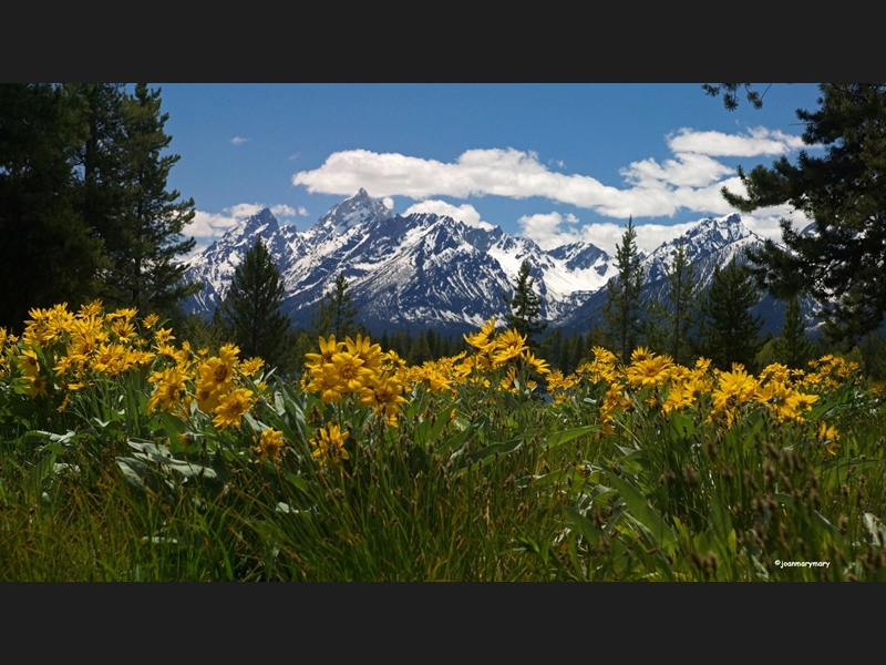 Spring in the Tetons