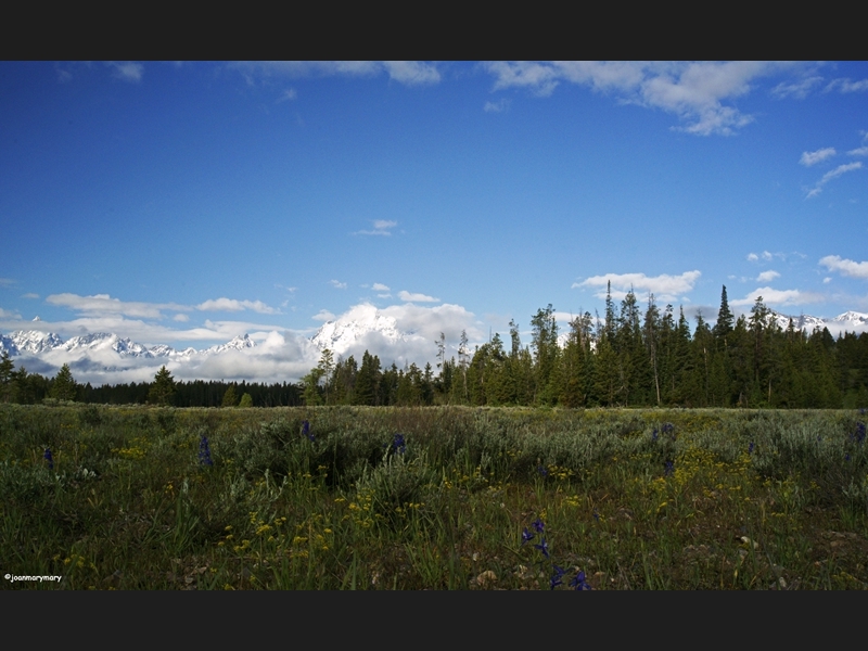 Springtime in the Tetons (2)