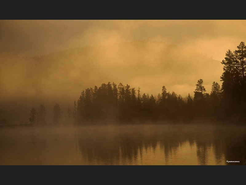 Sunrise in the fog- Cattlemans