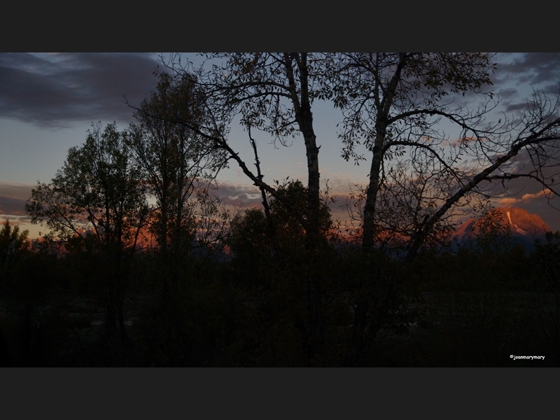 Sunrise through the trees