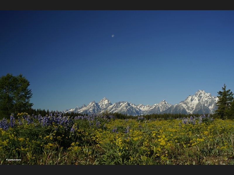 Tetons in Spring