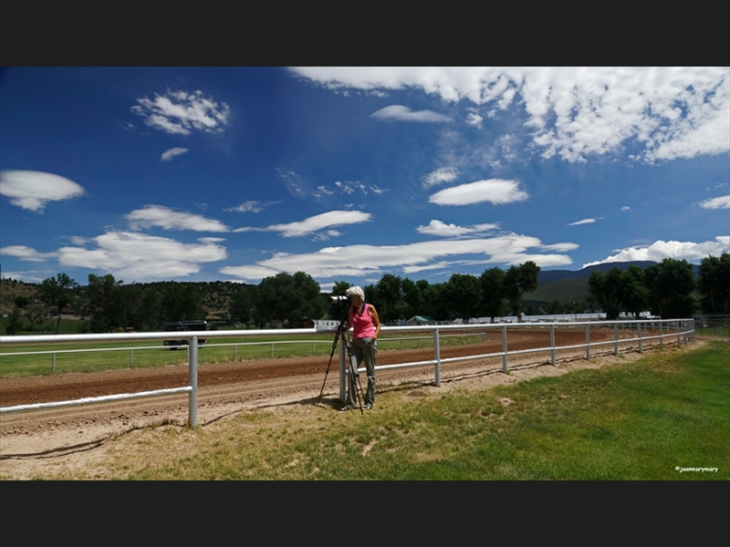 Beaver UT  Horse races