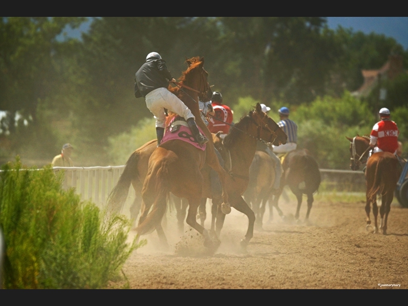 Beaver UT Horse Races