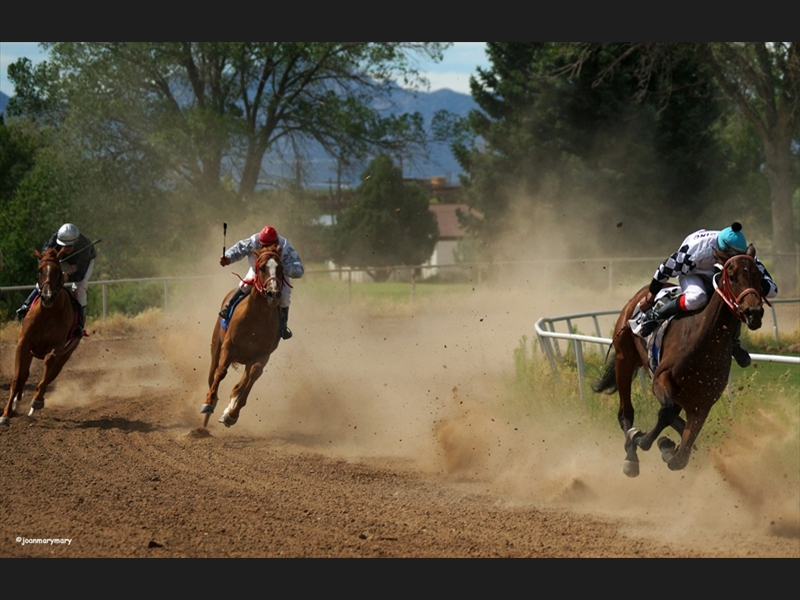 Beaver UT Horse Races(5)