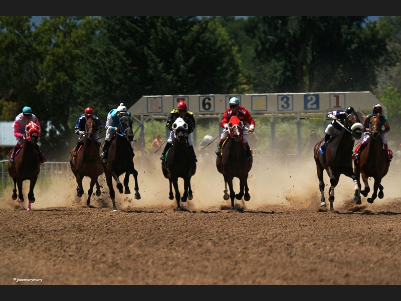 Beaver UT Horse Races (1)