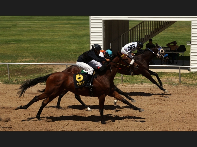 Beaver UT Horse Races (12)