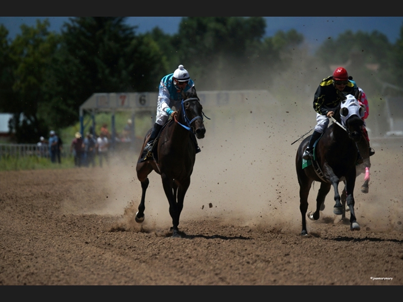 Beaver UT Horse Races (2)