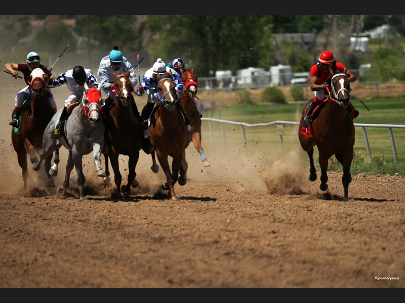 Beaver UT- Horse Races (2)