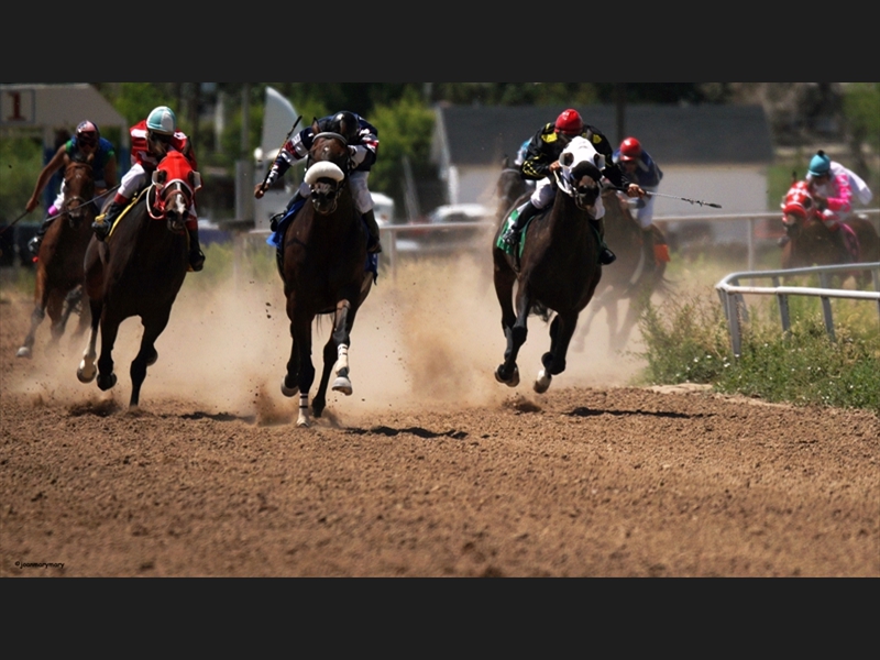 Beaver UT Horse Races (3)