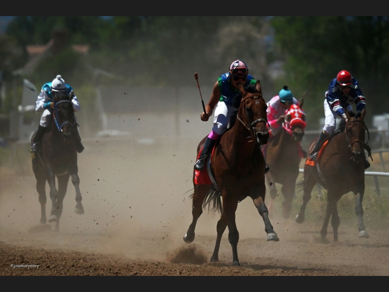 Beaver UT Horse Races (4)