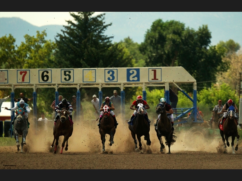 Beaver UT Horse Races (5)