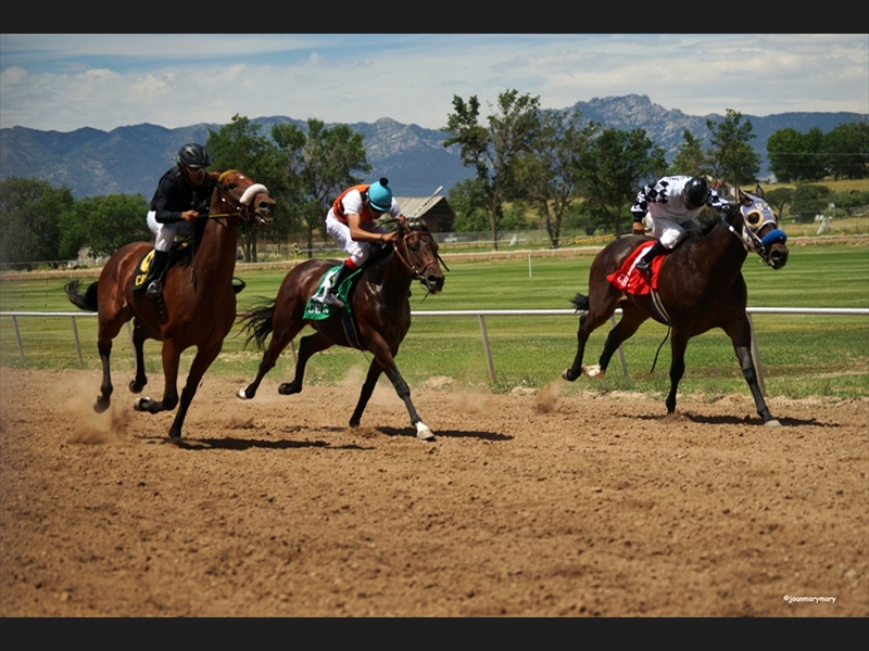 Beaver UT- Horse Races (5)