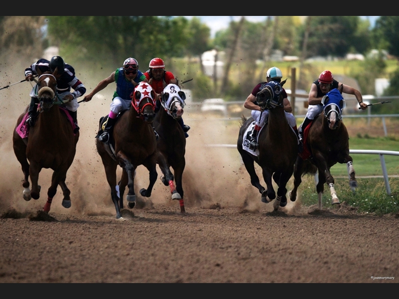 Beaver UT Horse Races (7)