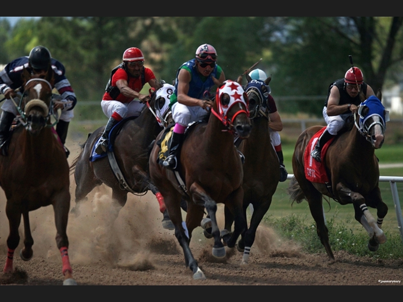 Beaver UT Horse Races (8)