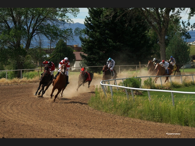 Beaver UT Riderless Horse (2)