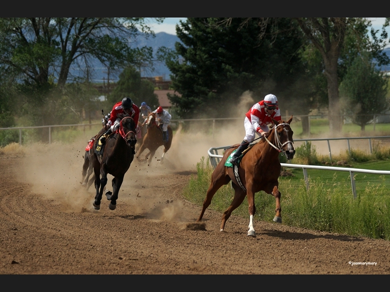 Beaver UT Riderless Horse (3)