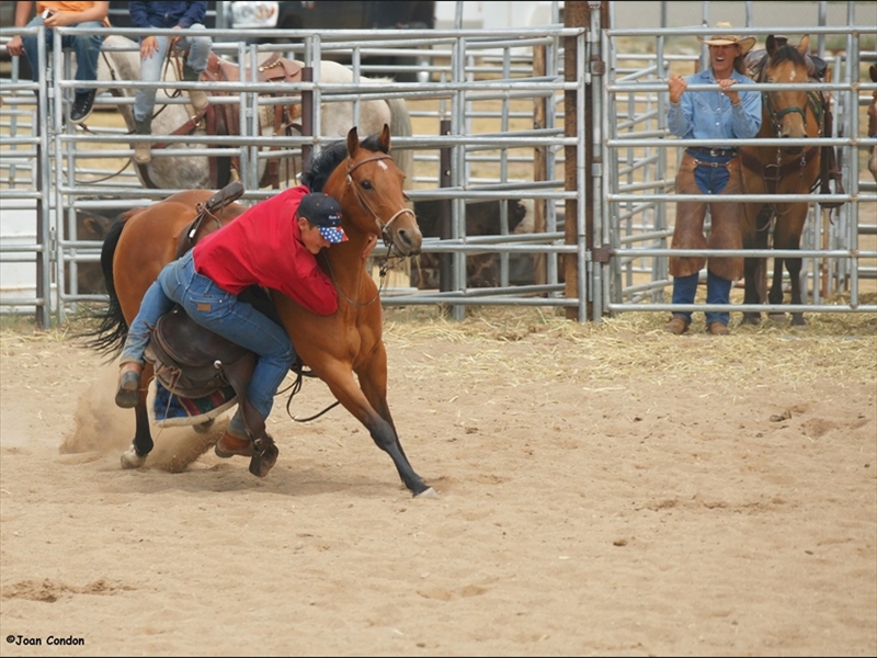 Cowboy (2)