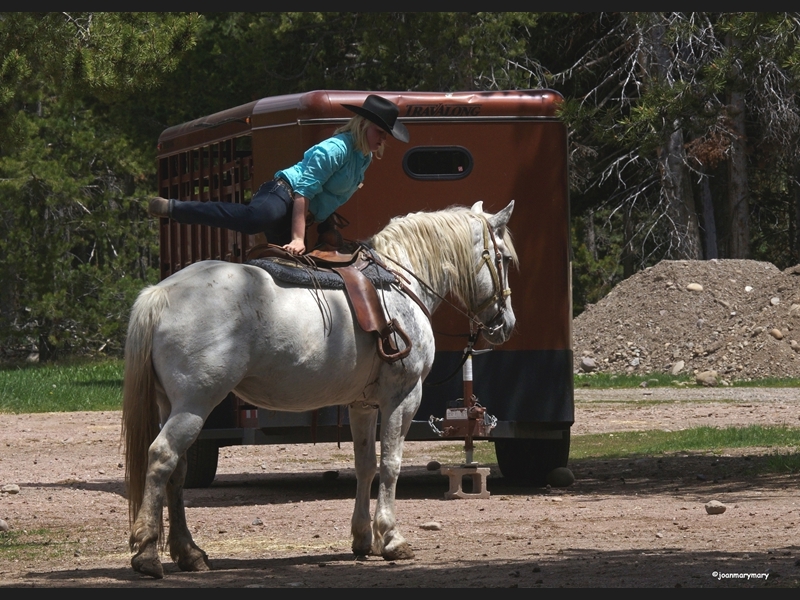 Cowgirl (2)