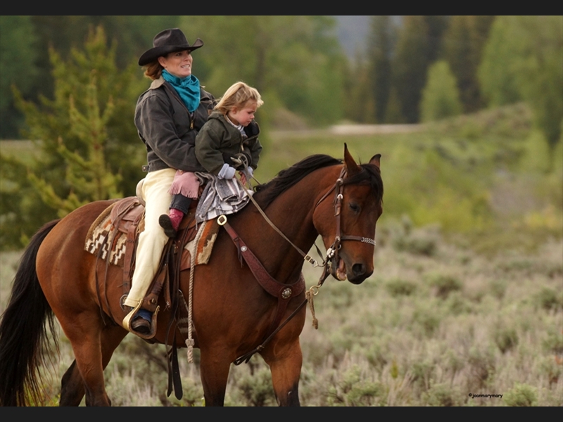 Cowgirls