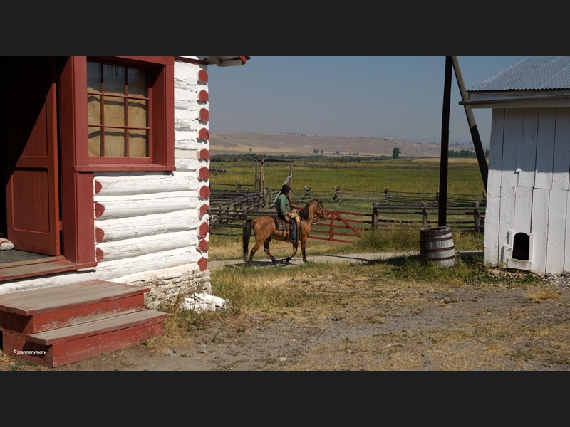 Grant-Kohrs- Back to the barn