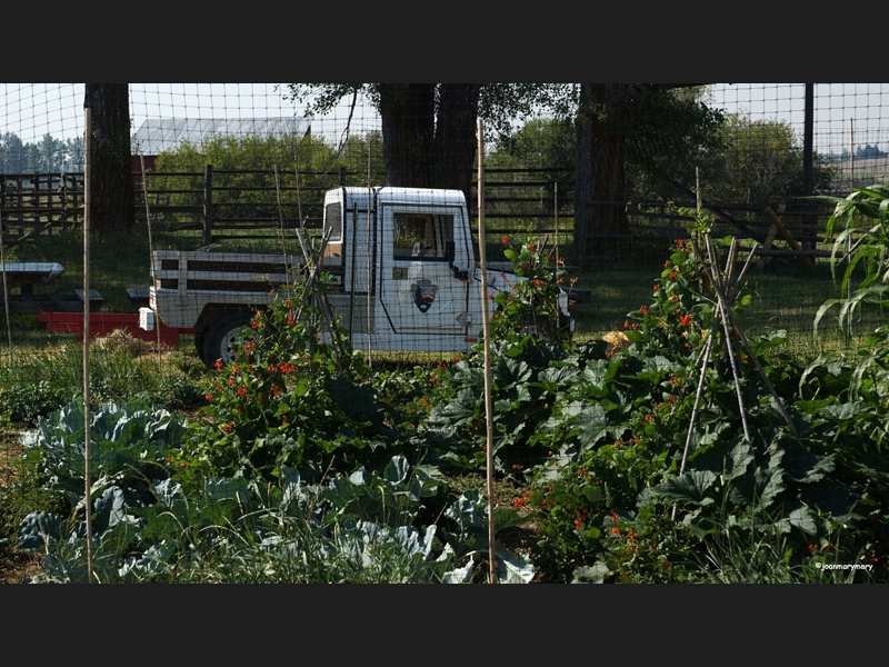 Grant-Kohrs Nat-l Monument- Working garden