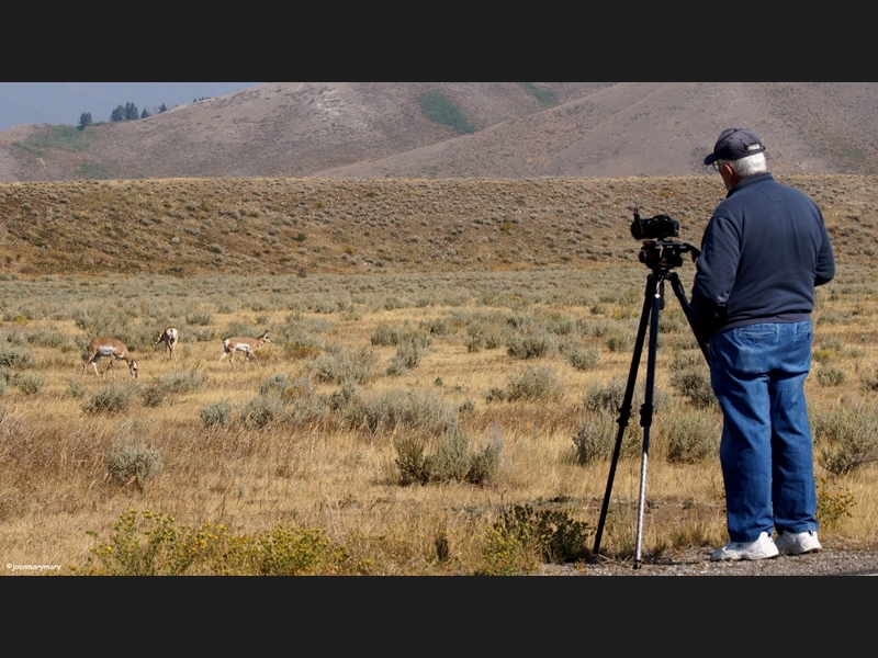 Gros Ventre Rd 2012