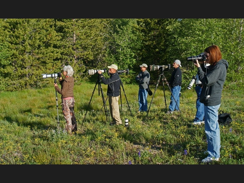 Shooting moose