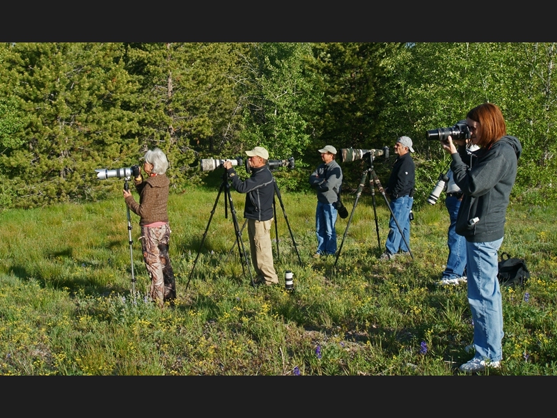 Shooting moose